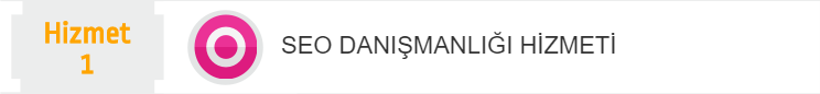 SEO Danışmanlığı