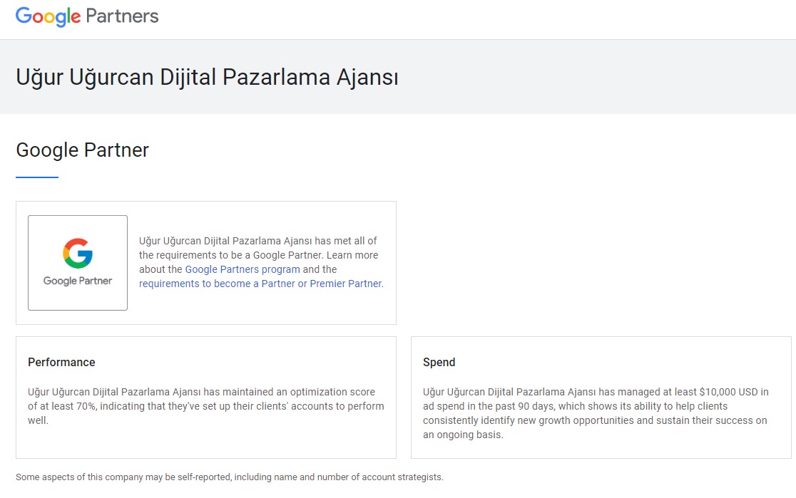 Google Ads Partner Ajansı